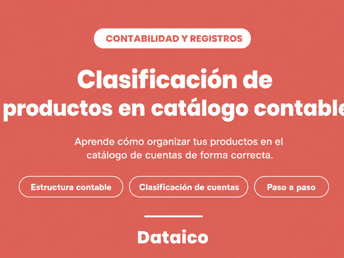 ¿Cómo se clasifican los productos en el catálogo de cuentas contable?