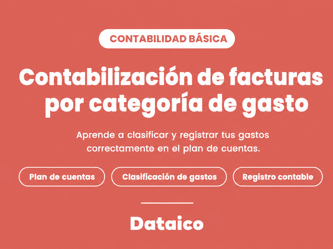 ¿Cómo se contabilizan las facturas por categoría de gasto según el plan de cuentas?